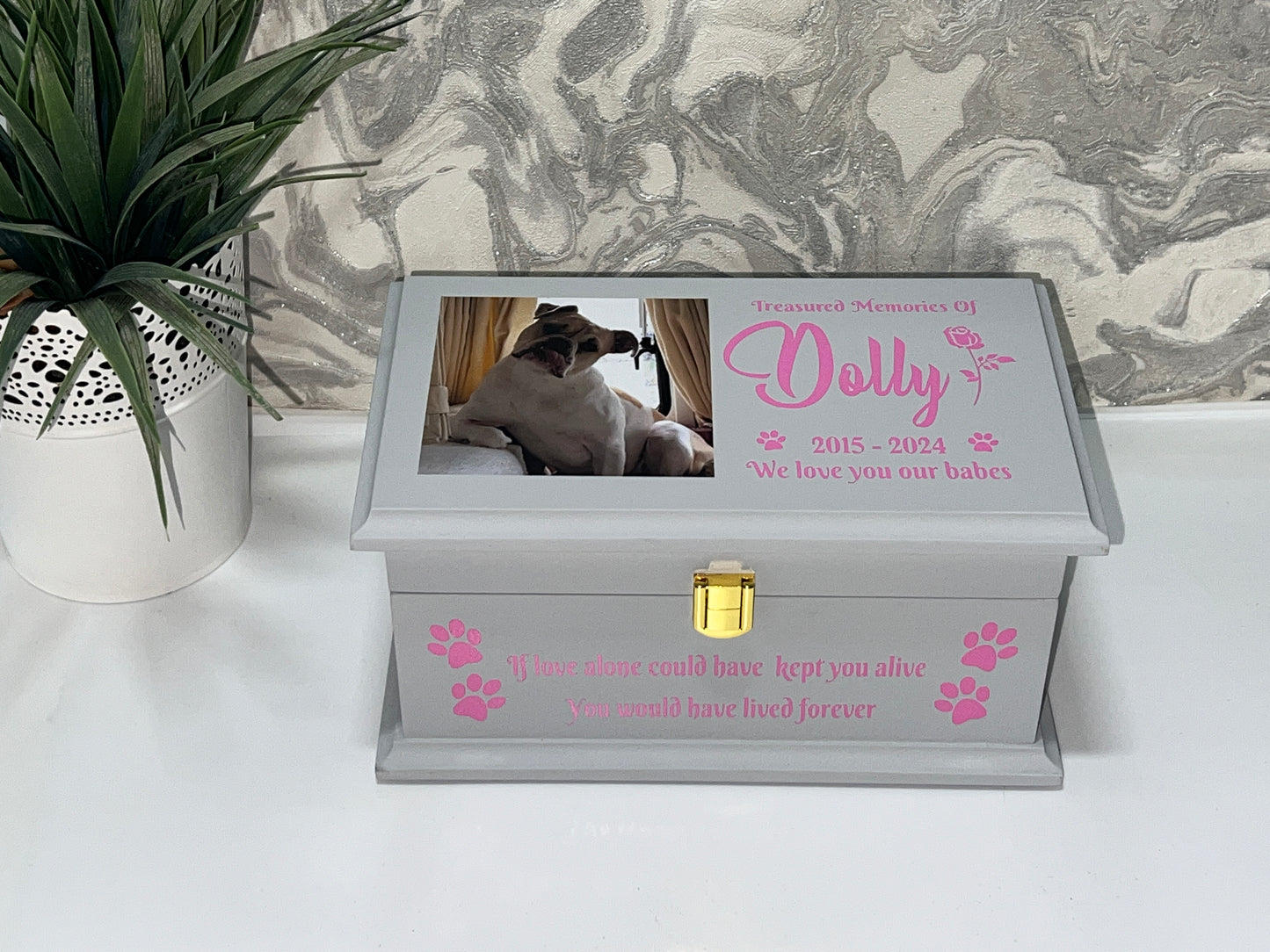 Peaceful Paws Casket With Front Lock And Photo