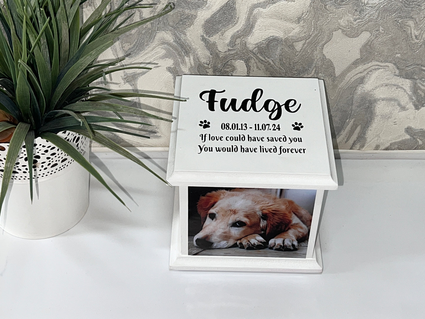 Tiny Paws Casket With Photo