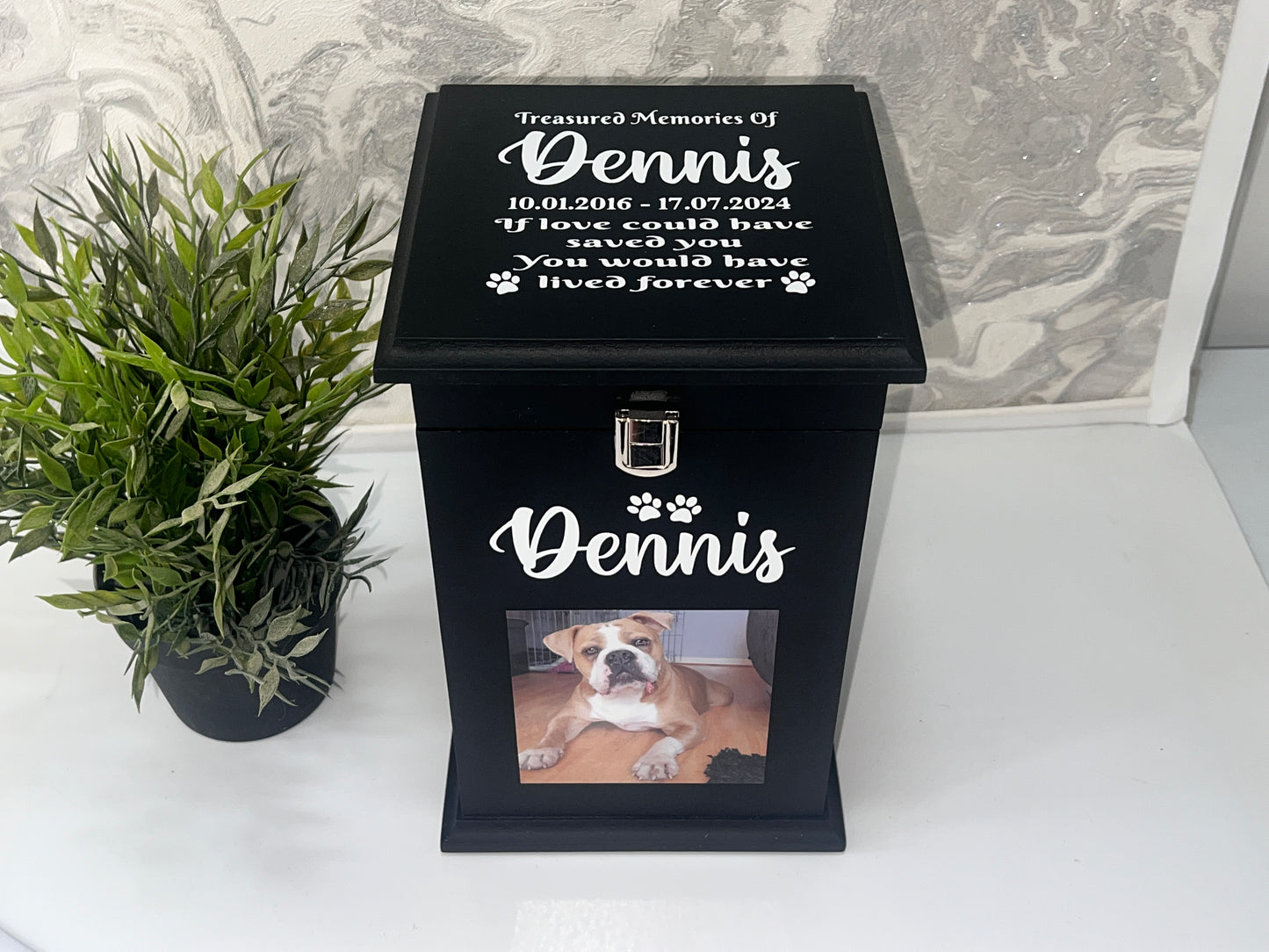 Little Paws Casket With Front Lock And Photo