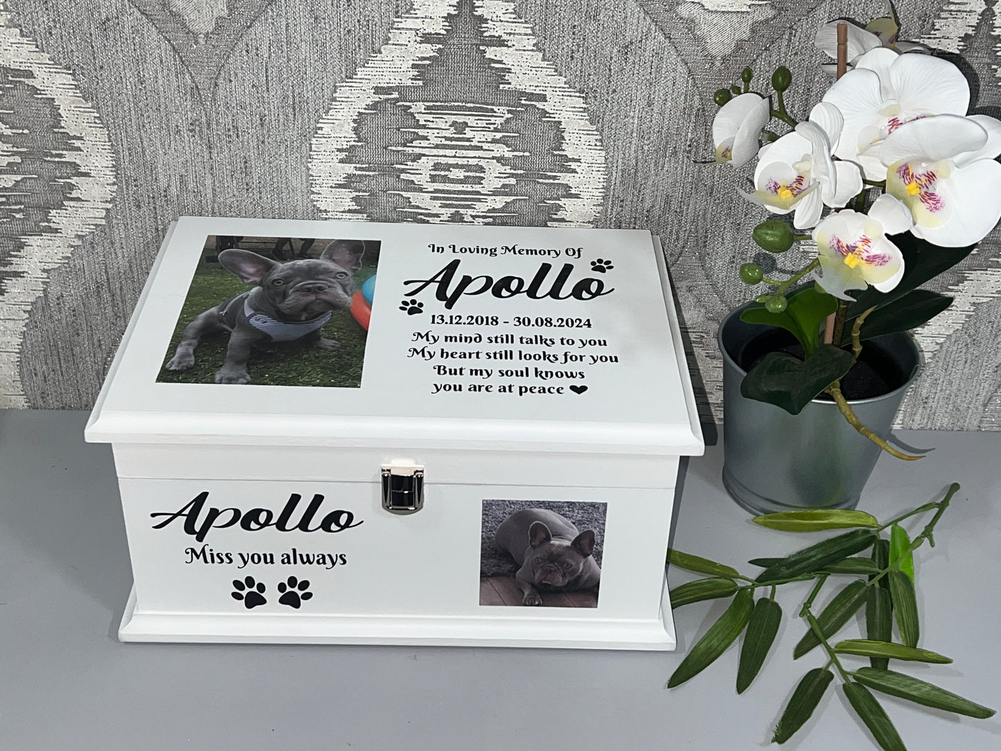 Faithful Friend Casket With Front Lock And Photo