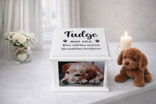 Tiny Paws Casket With Photo