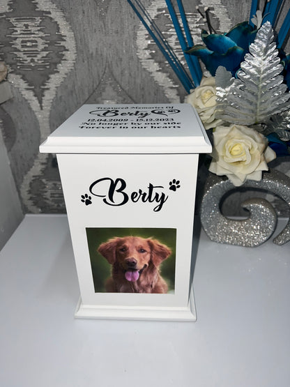 Little Paws Casket With Photo