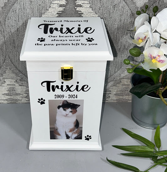 Little Paws Casket With Front Lock And Photo