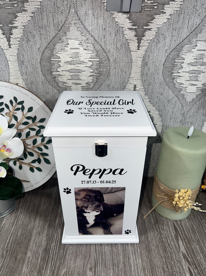Little Paws Casket With Front Lock And Photo